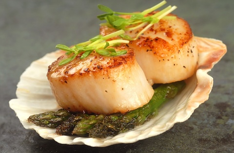 scallop_dish